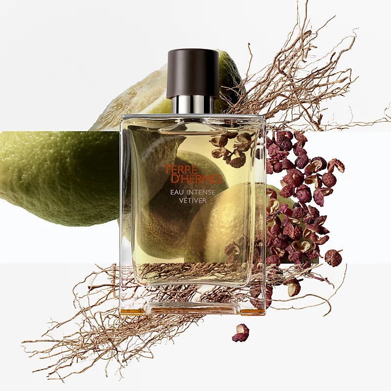 HERMÈS  TERRE D'HERMÈS